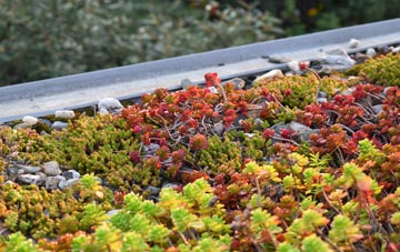 the cost of Chequertree green roof installation